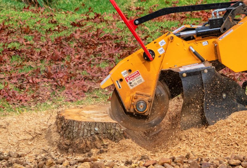 Stump Grinding Pros