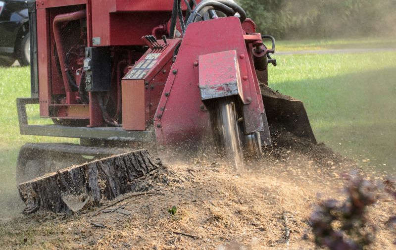 Stump Grinding Pros