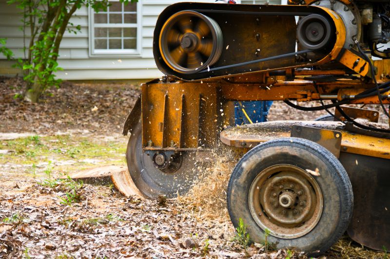 Stump Grinding Pros