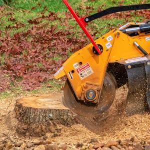 Jacksonville Stump Grinding